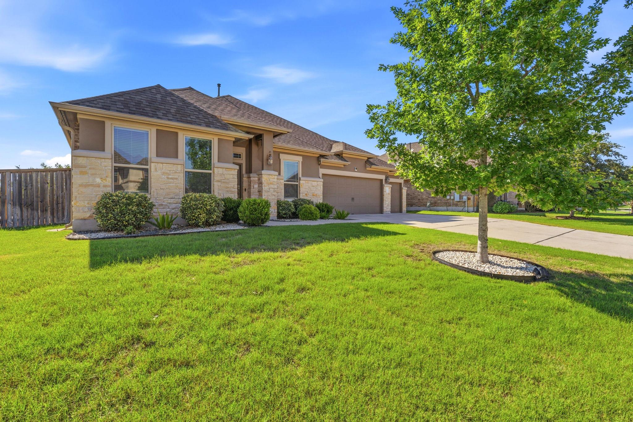 12616 Twisted Root DR
