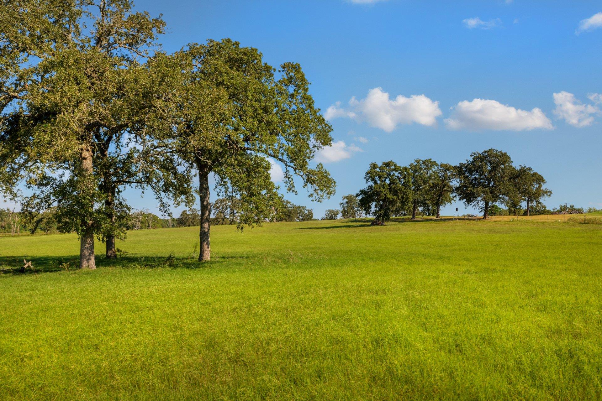 TBD CR 302 RD