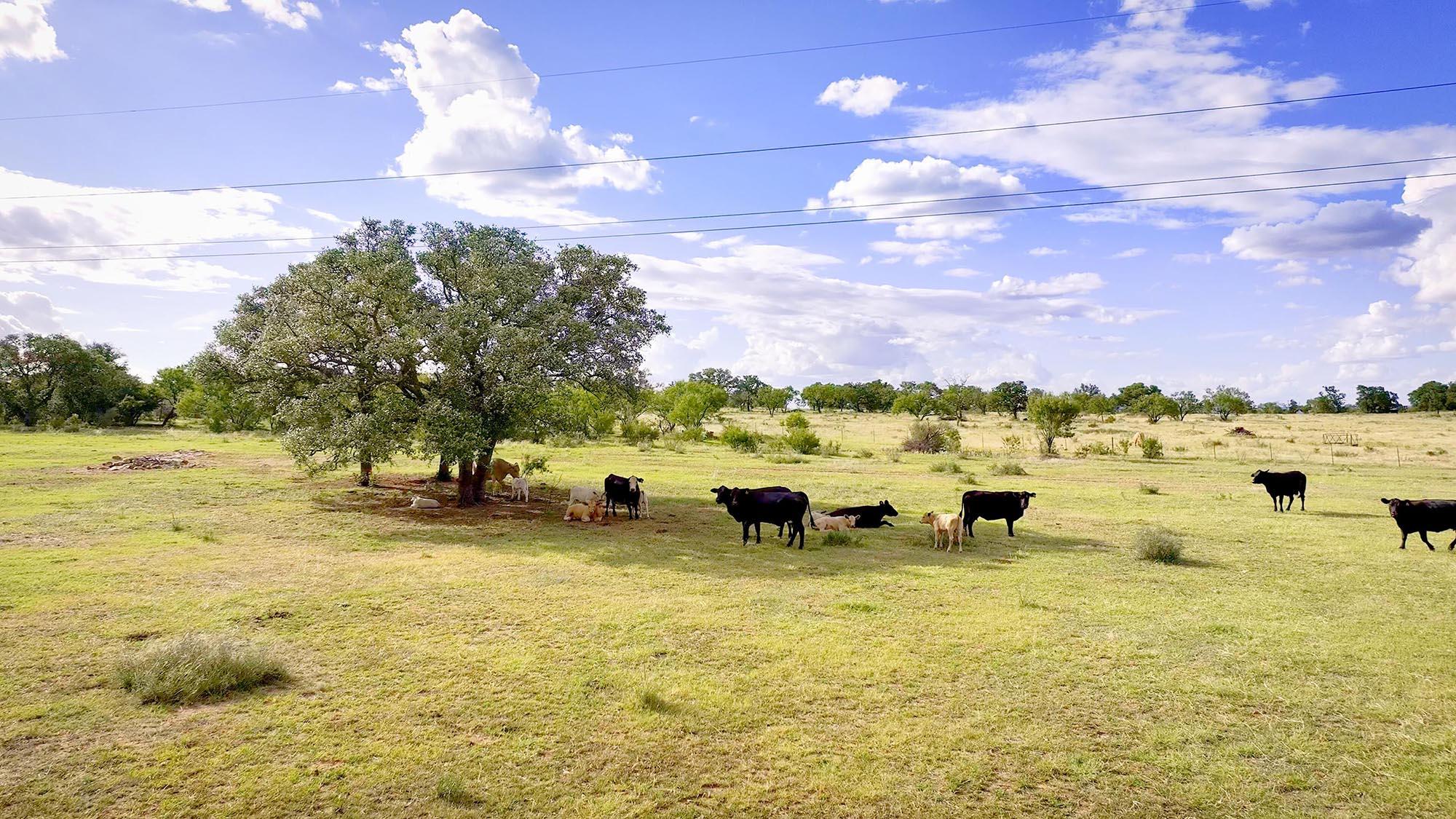 Photo 1 of 5 — TBD 12119 W Highway 29 Highway, Llano, TX 78643