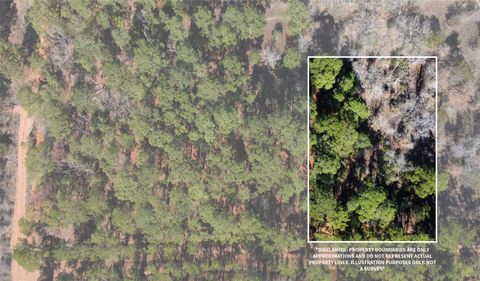 Photo of 0 Pine Lodge Drive Lot 26, Bastrop, TX 78602 (MLS # 4298513)