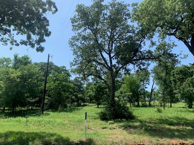 258 Colovista PKWY