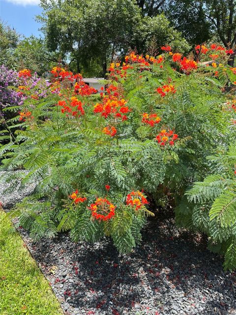 Tiny photo for 1812 Aggie LN, Austin, TX 78757 (MLS # 1595286)