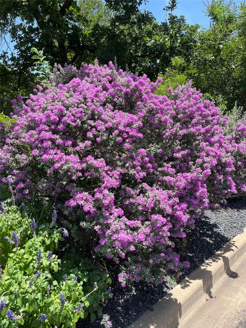 Tiny photo for 1812 Aggie LN, Austin, TX 78757 (MLS # 1595286)