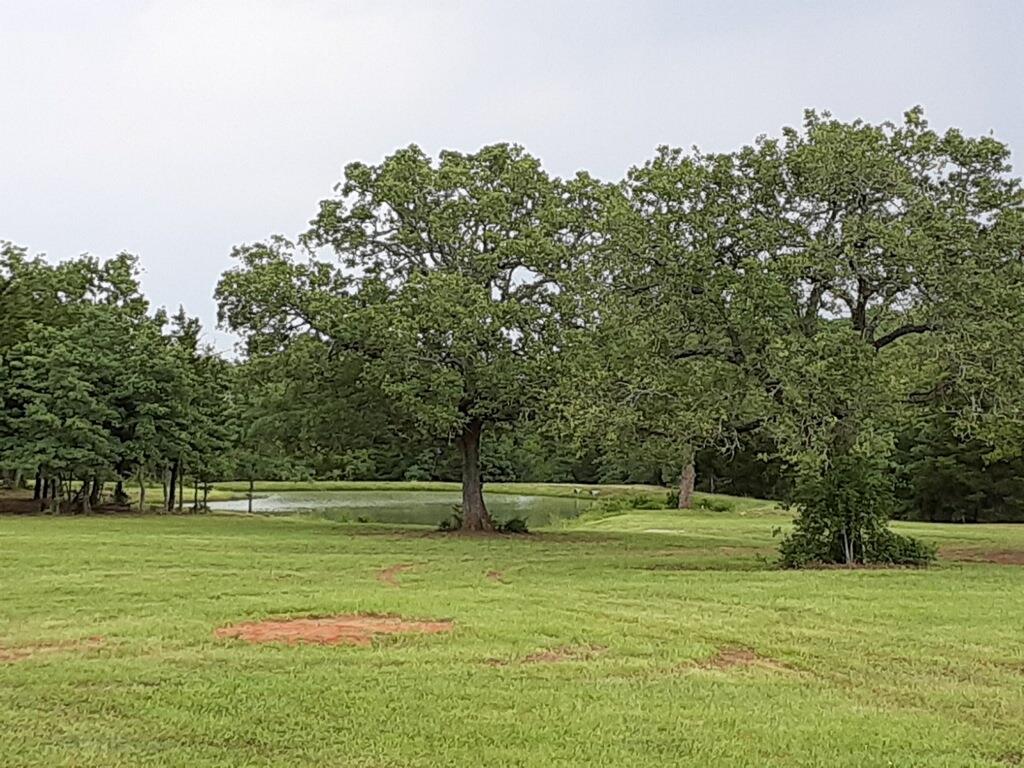 251 Fairview DR