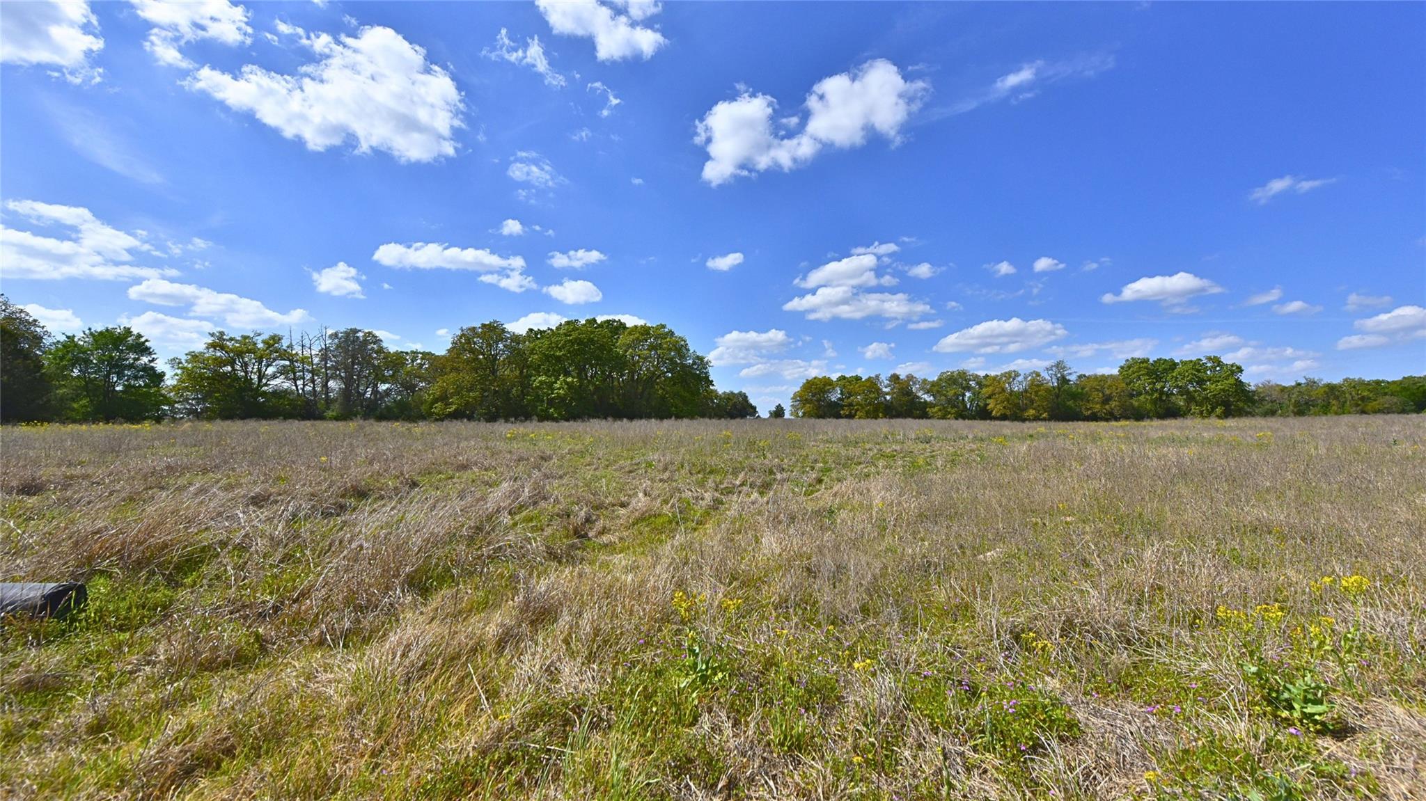 TBD Legacy Road (5 acres)