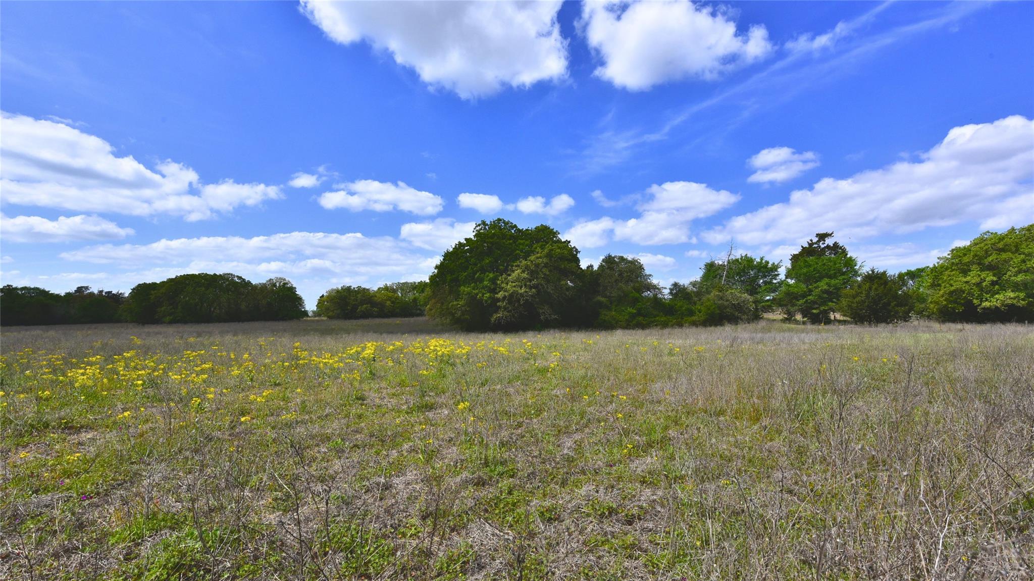 TBD Legacy Road (5 acres)