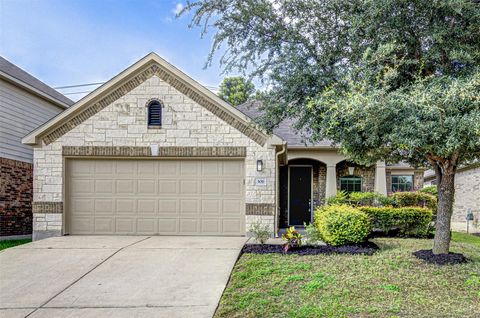 306 Snow Owl HOLW Buda TX 78610