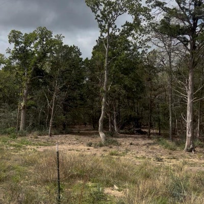 ANTIOCH RD, PAIGE, TX 78659 - Image d0ba6ef31c99bfc82cd9d1decd82964f/2231614084
