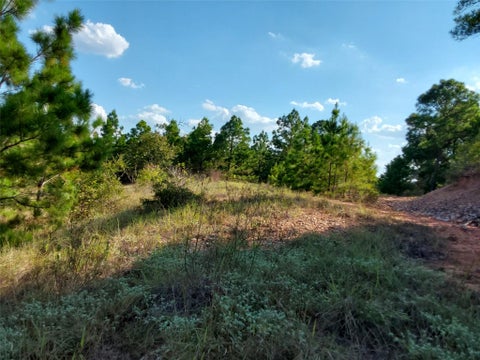 Photo of 909 Hana Court ST, Bastrop, TX 78602 (MLS # 6000052)