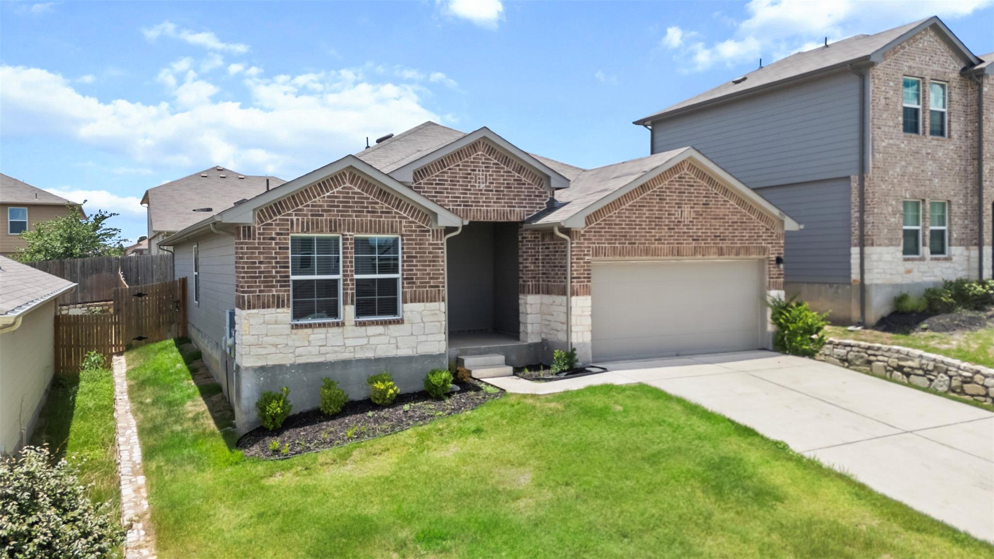 15113 Siberian Elm LN