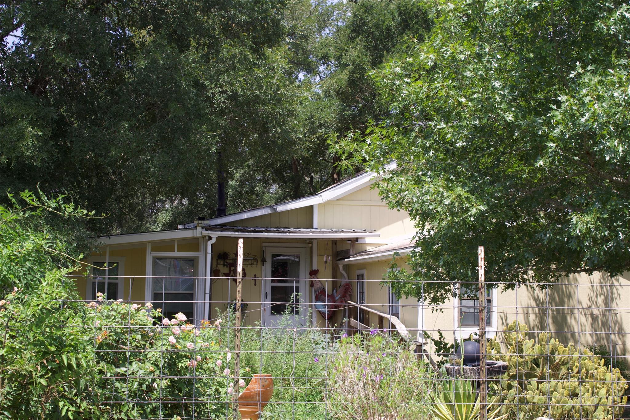 1114 Spotted Horse TRL