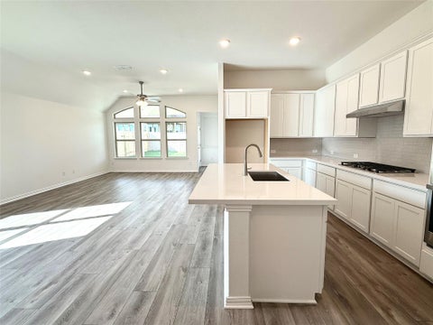 Tiny photo for 20424 Cassidy LN, Manor, TX 78653 (MLS # 5220817)