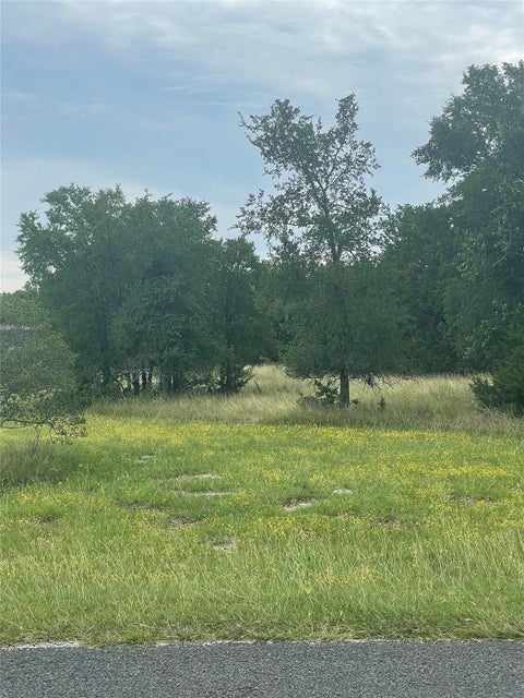 Photo of 255 Sedro TRL, Georgetown, TX 78633 (MLS # 6135142)