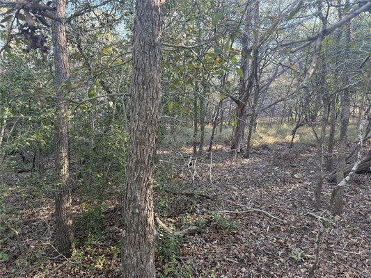TBD BALI HAI LN, BASTROP, TX 78602 - Image d28d8fe34b7b9acbe8f629da84ca5afd/1158053798