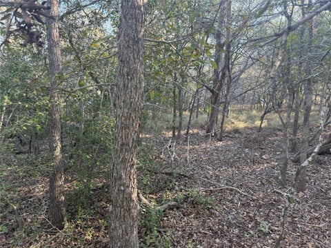 Photo of TBD Bali Hai LN, Bastrop, TX 78602 (MLS # 7226574)