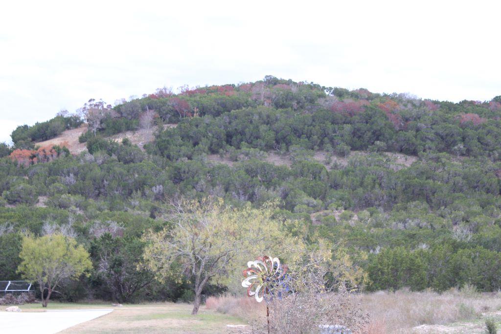 218 Spring Hollow Drive DR