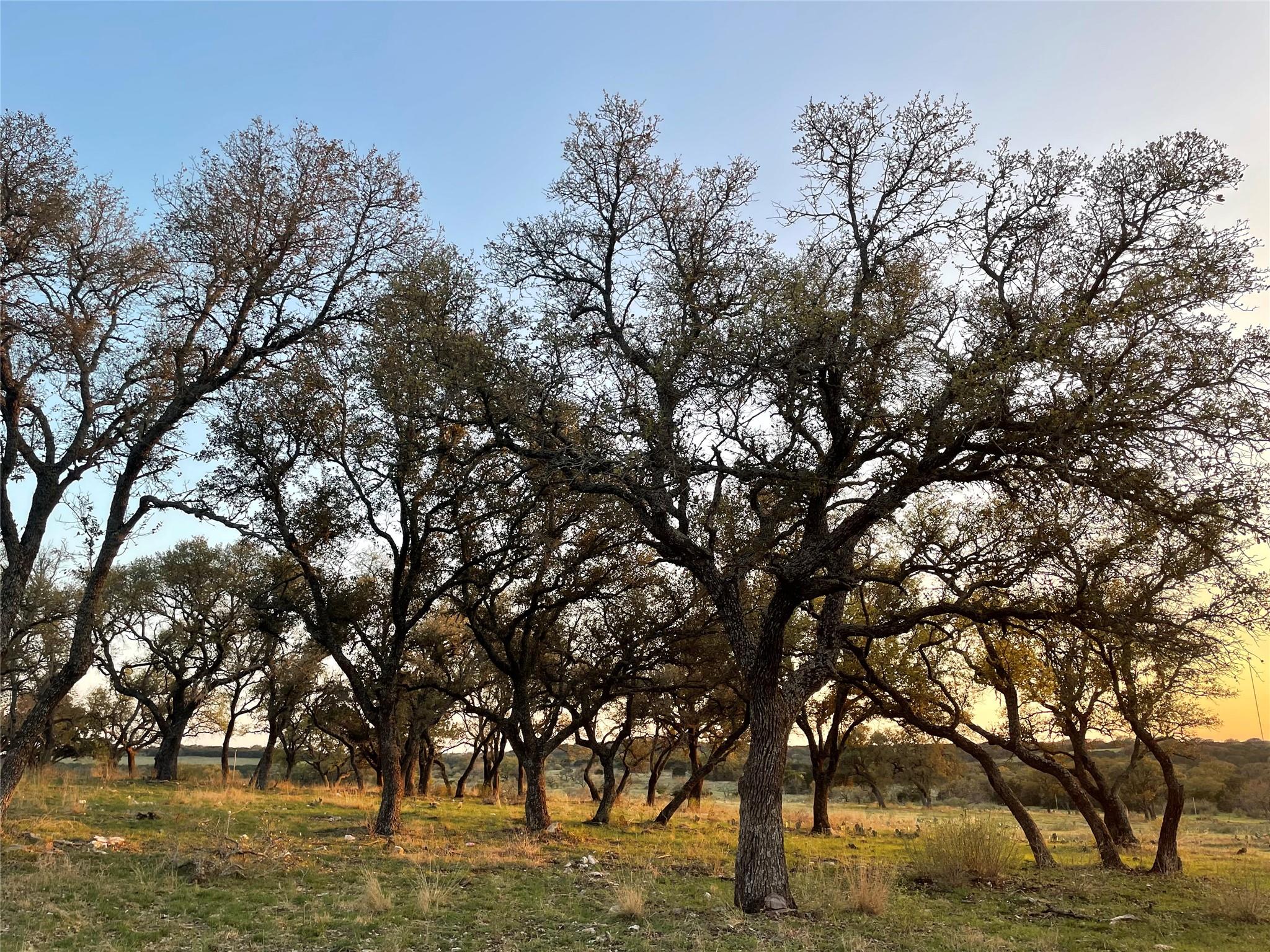 Rocky Hollow Lot 122 Whitetail TRL