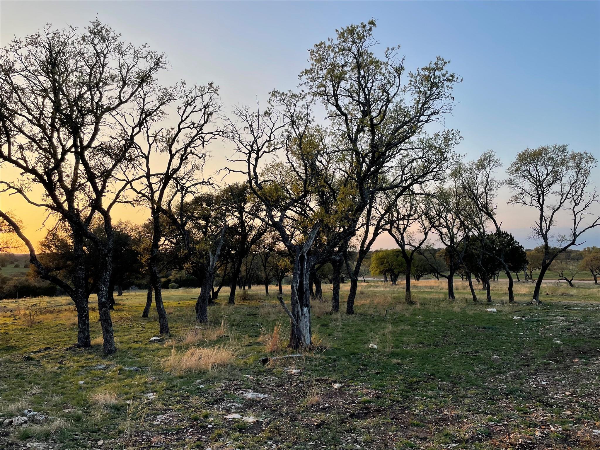Rocky Hollow Lot 122 Whitetail TRL