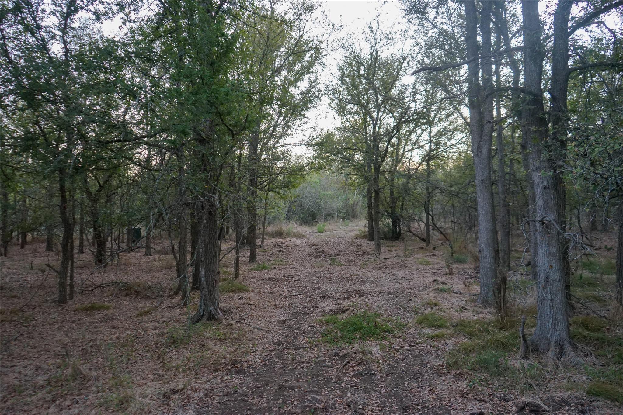 3935 County Road 464