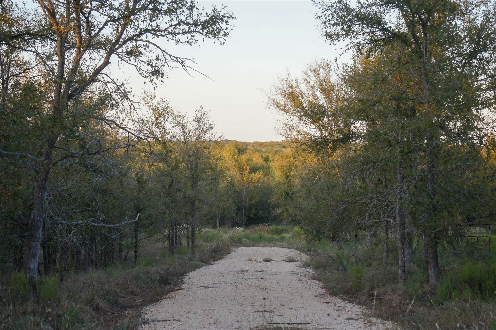3935 County Road 464