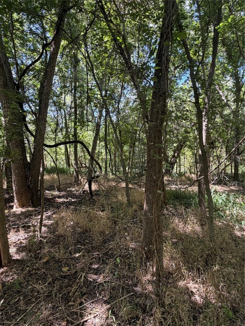 Photo of Lot 677 Kaukonahua LN, Bastrop, TX 78602 (MLS # 3543775)