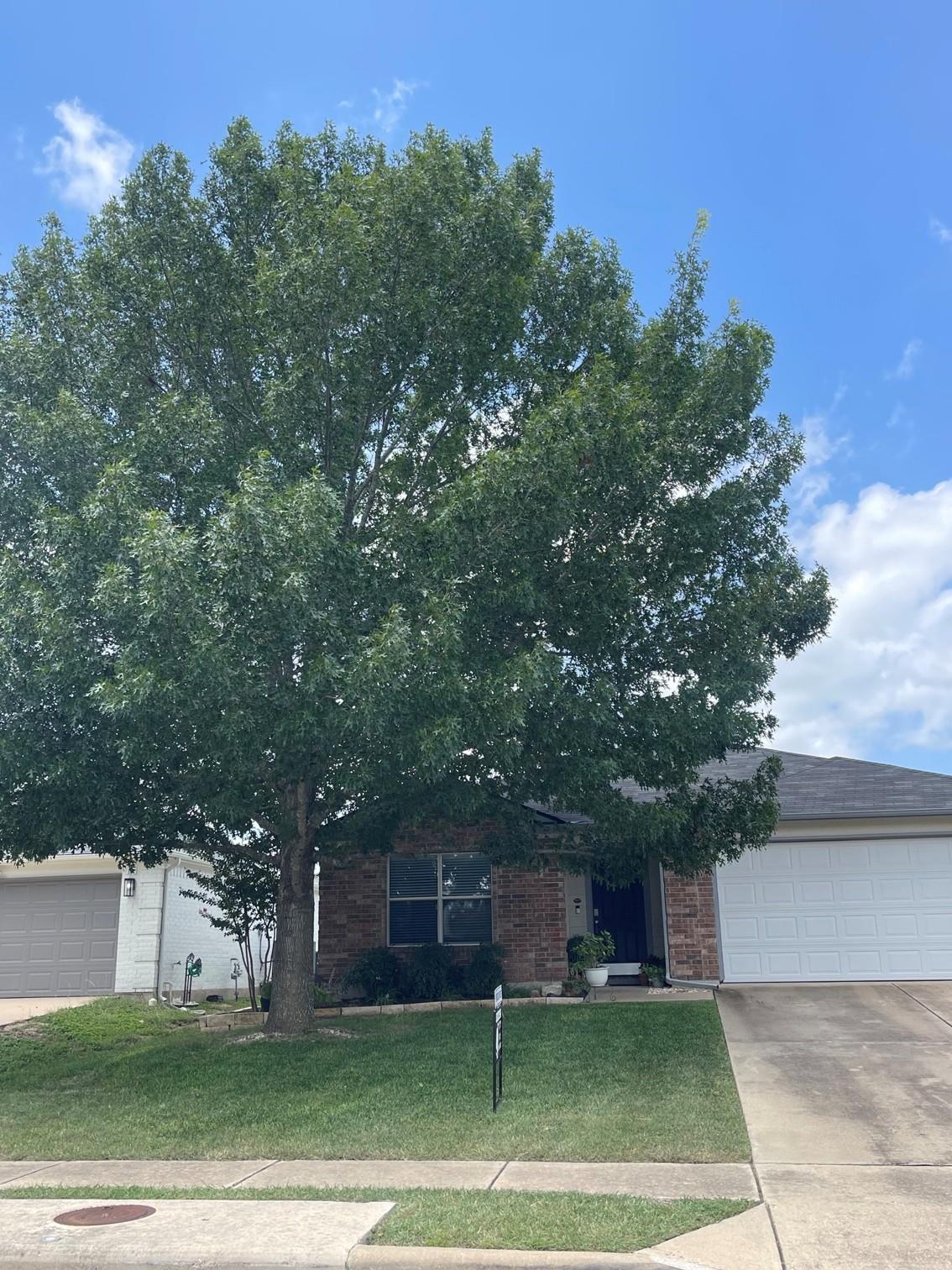280 Spruce DR