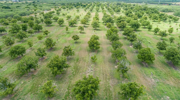 475 W COUNTY RD 418, PREMONT, TX 78375 - Image d497c6cee27fdd00726c3a867dc98721/688167845