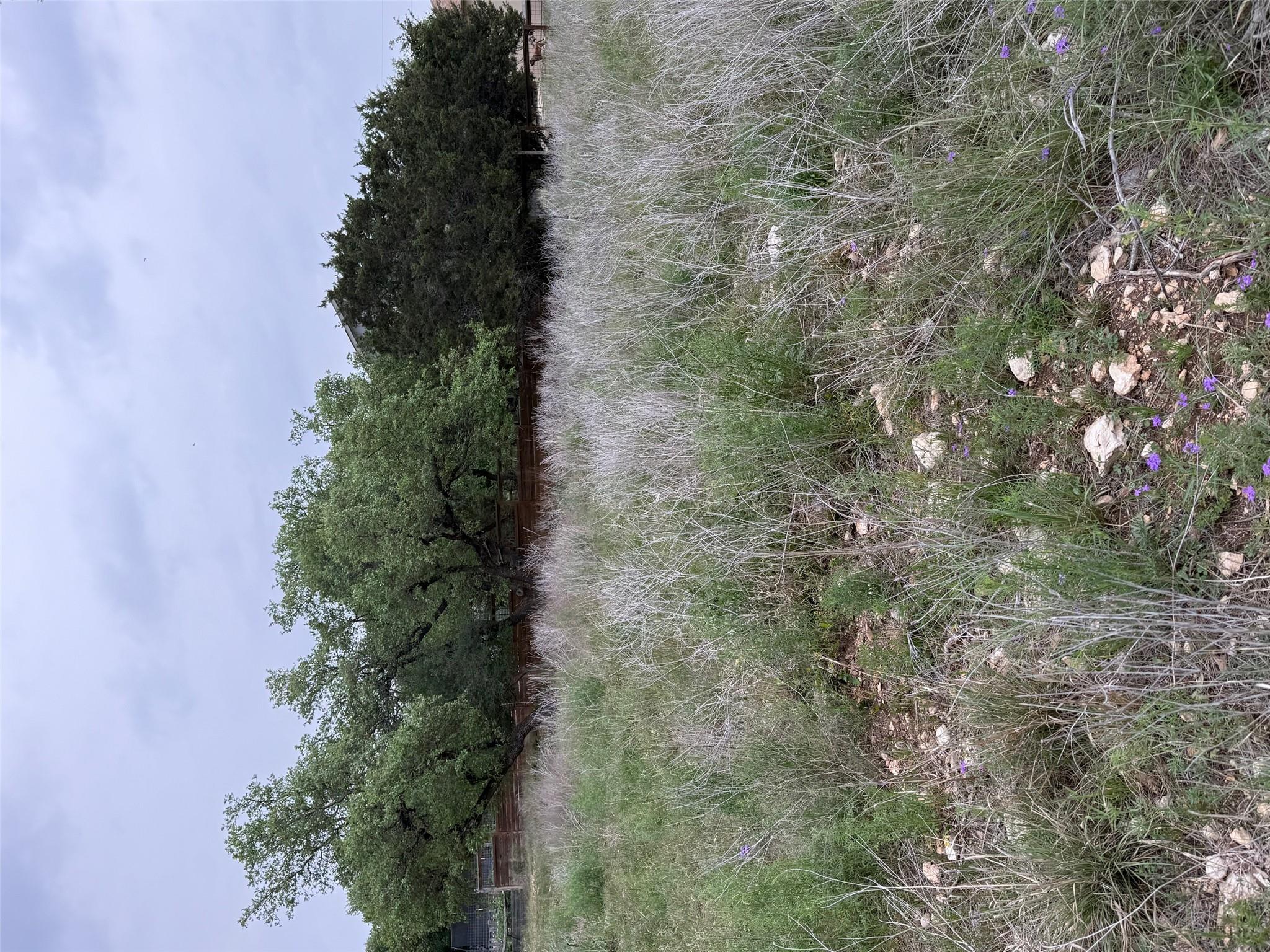 0 Panorama DR