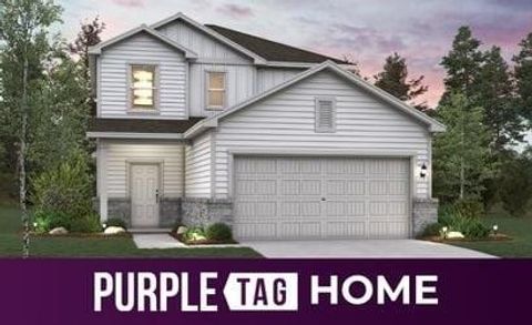 Tiny photo for 13206 Swift Wind DR, Buda, TX 78610 (MLS # 7351103)