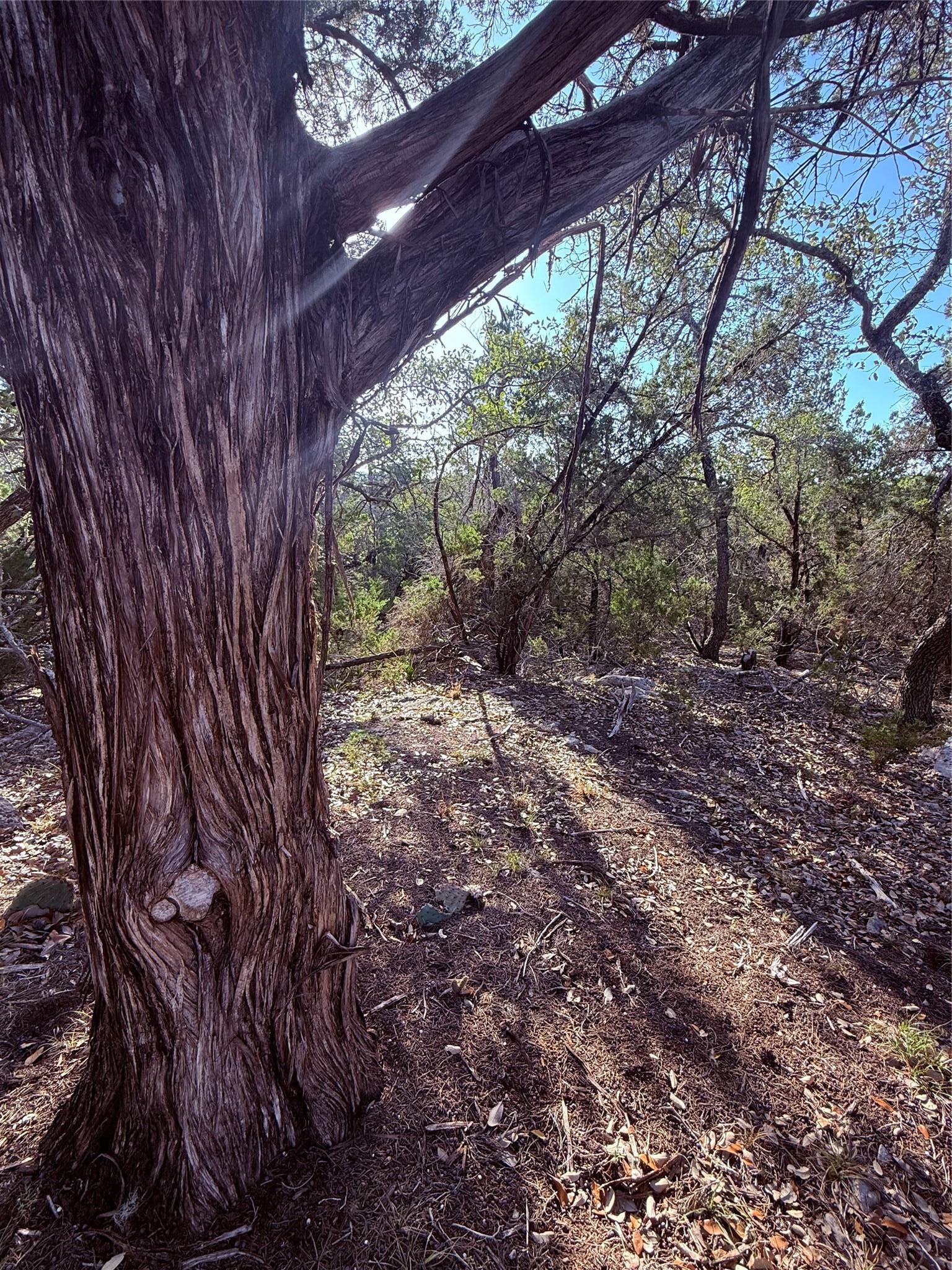 3600 Stagecoach Ranch LOOP