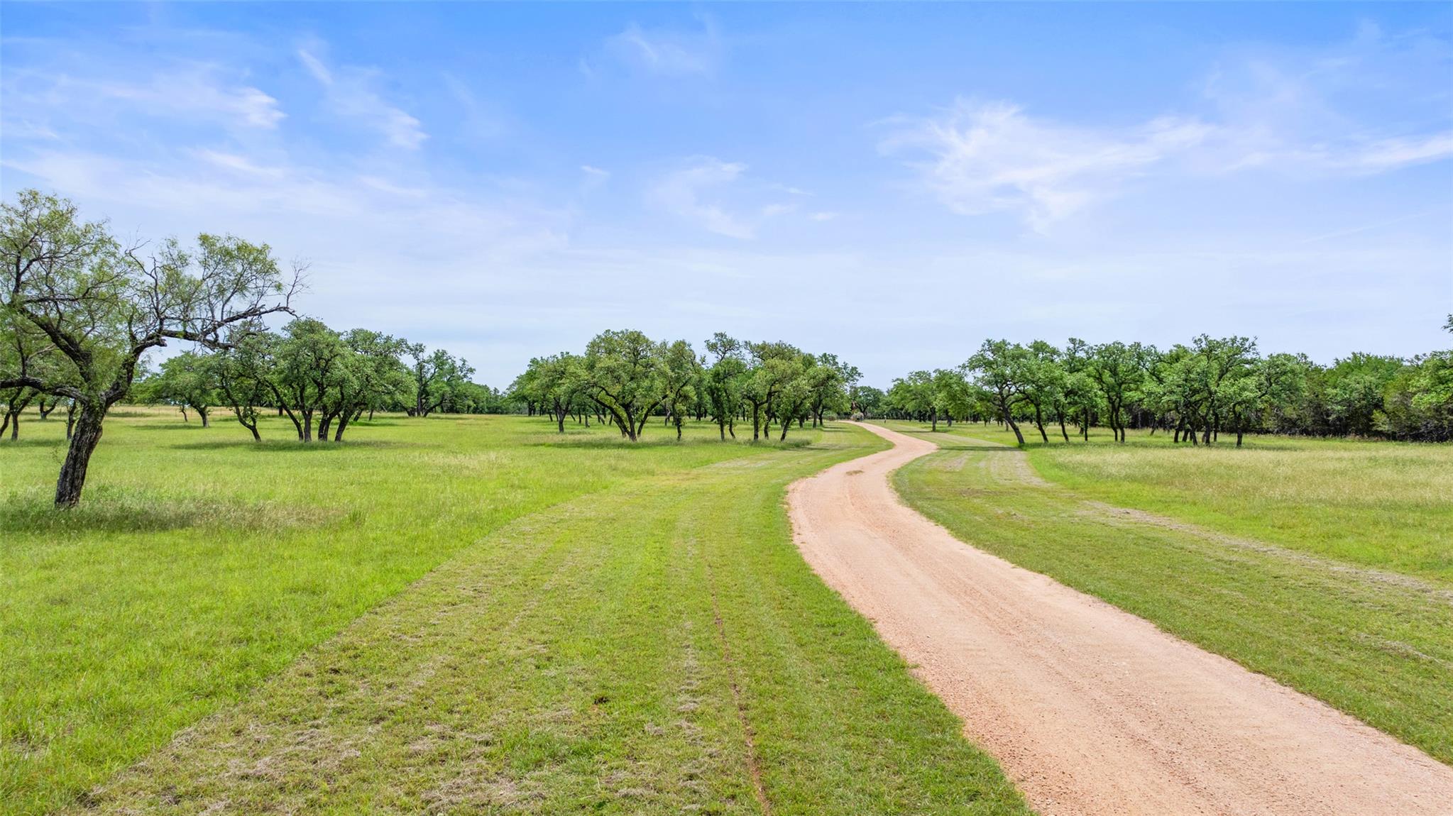 1241 Sandy Oaks Ranch RD