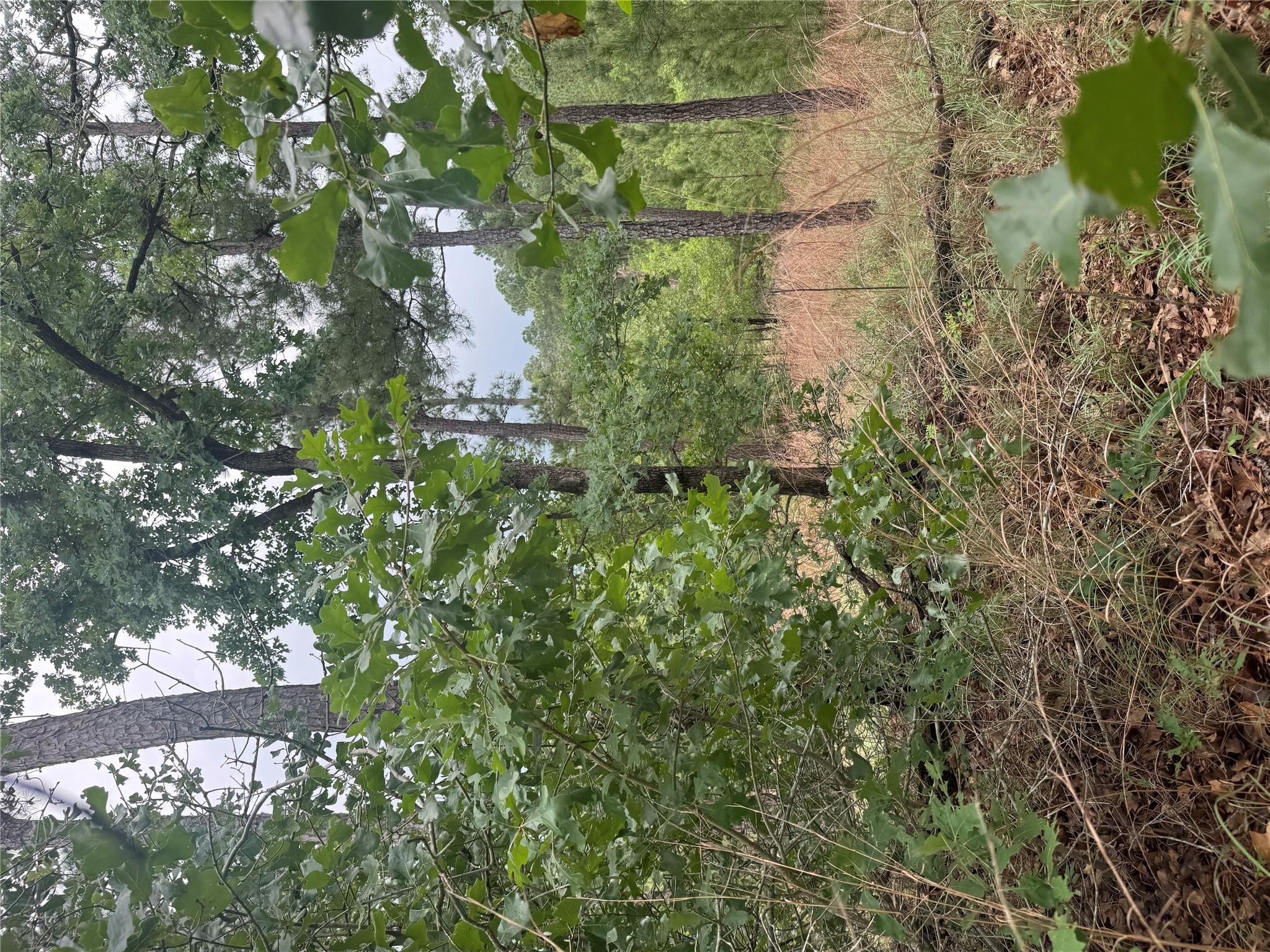 Lot 1612 Kaanapali LN