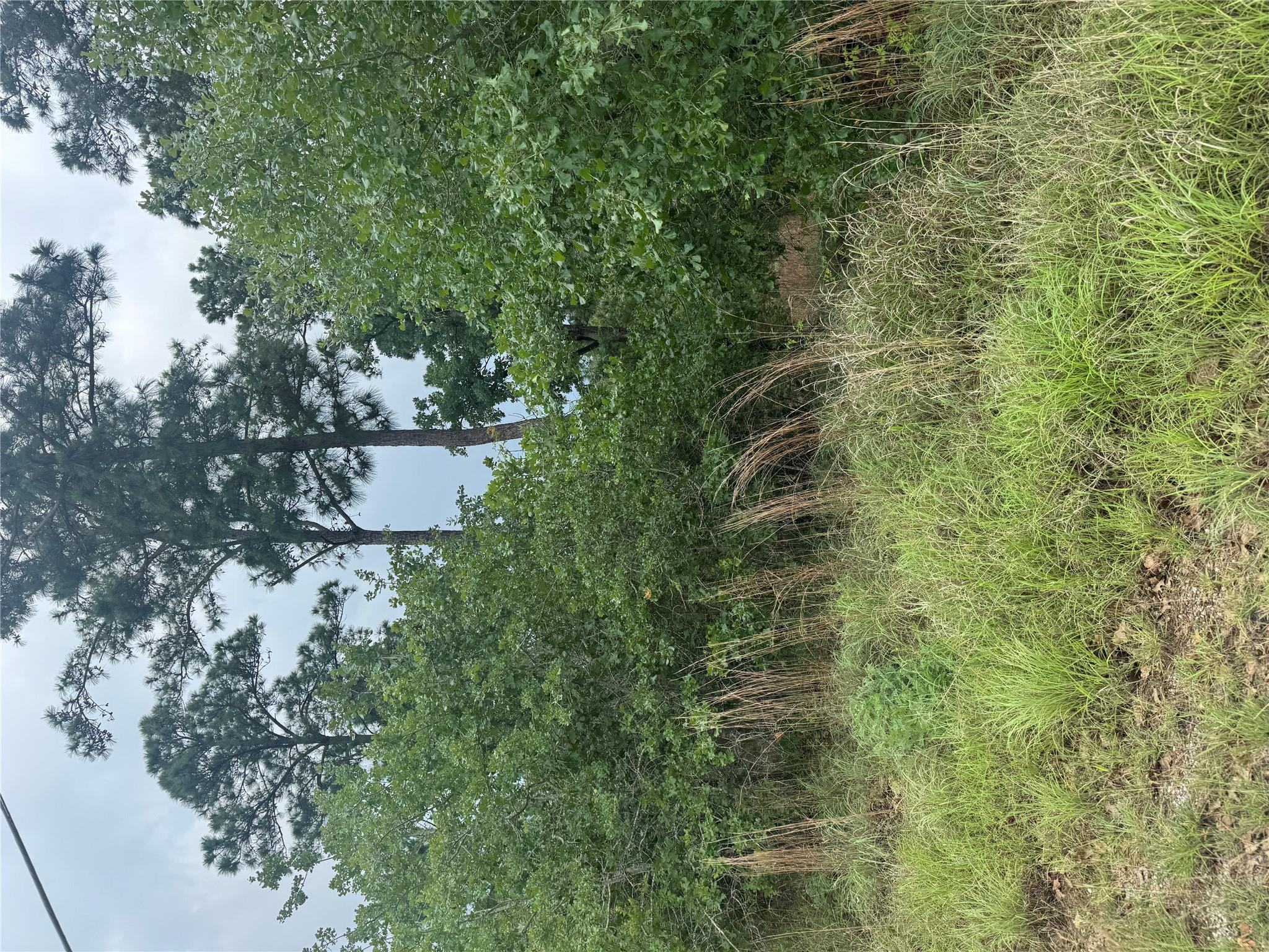 Lot 1612 Kaanapali LN