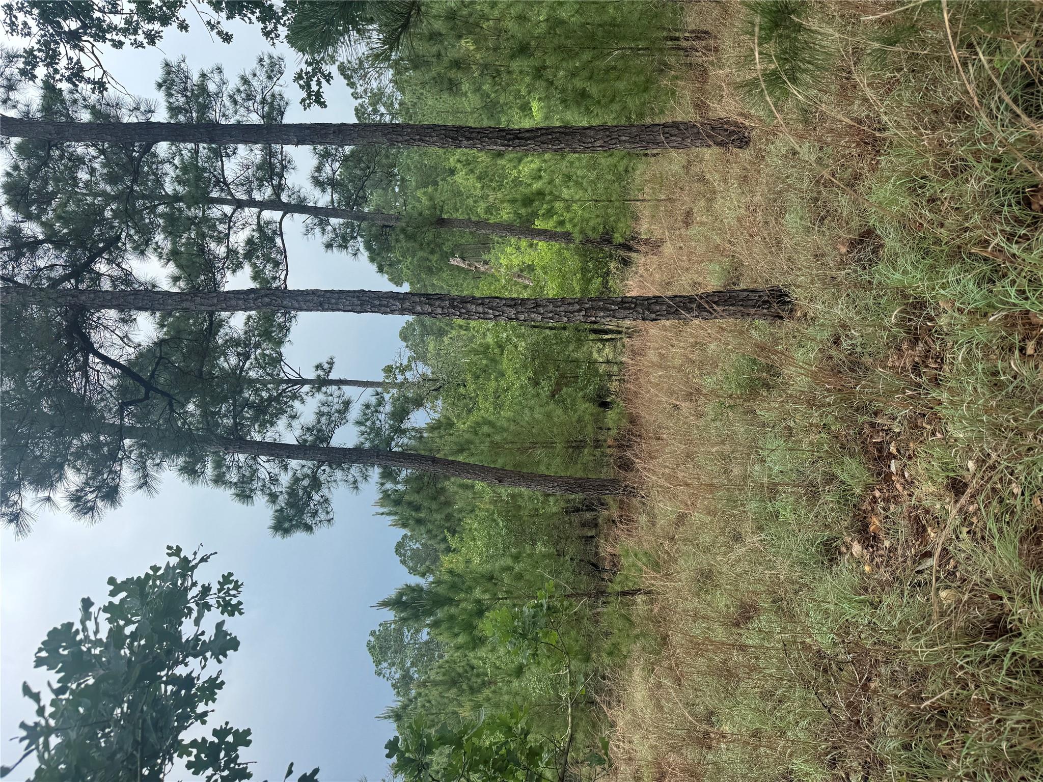 Lot 1612 Kaanapali LN