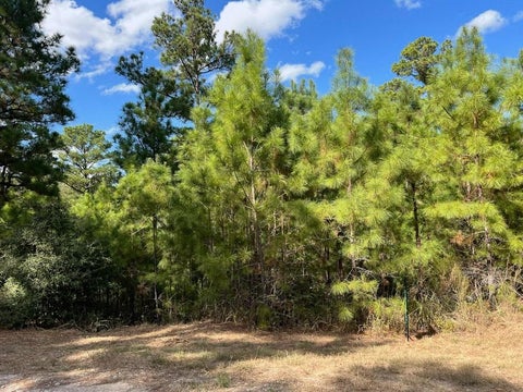 Photo of Lot 986 Kailua L LN, Bastrop, TX 78602 (MLS # 9207578)