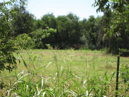 00 COUNTY ROAD 133, HUTTO, TX 78634 - Image d64f13c93b2da2fa67e1145adca4fa24/462058045
