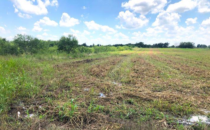 TBD CR 421, Thrall TX 765 County Road 421