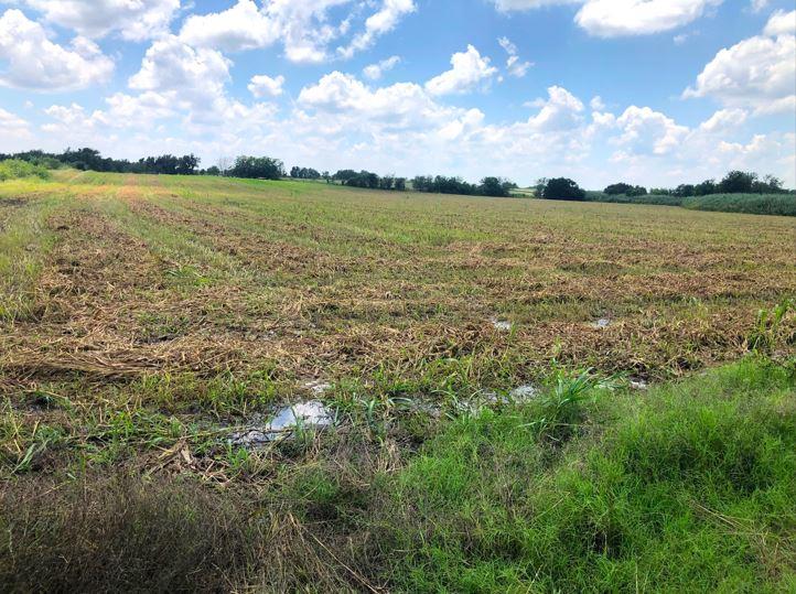 TBD CR 421, Thrall TX 765 County Road 421