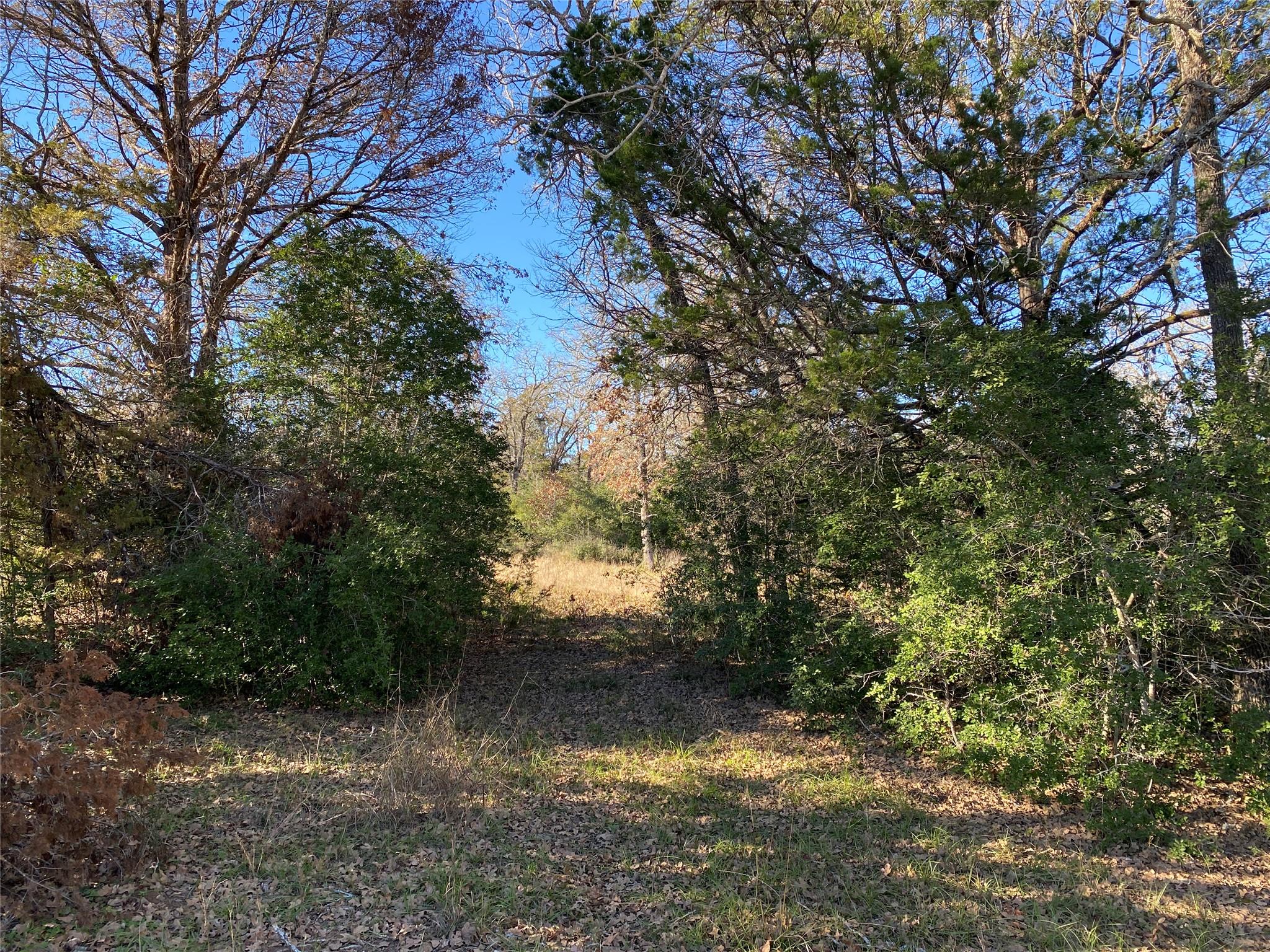 Lot 68 - TBD Creekside LN