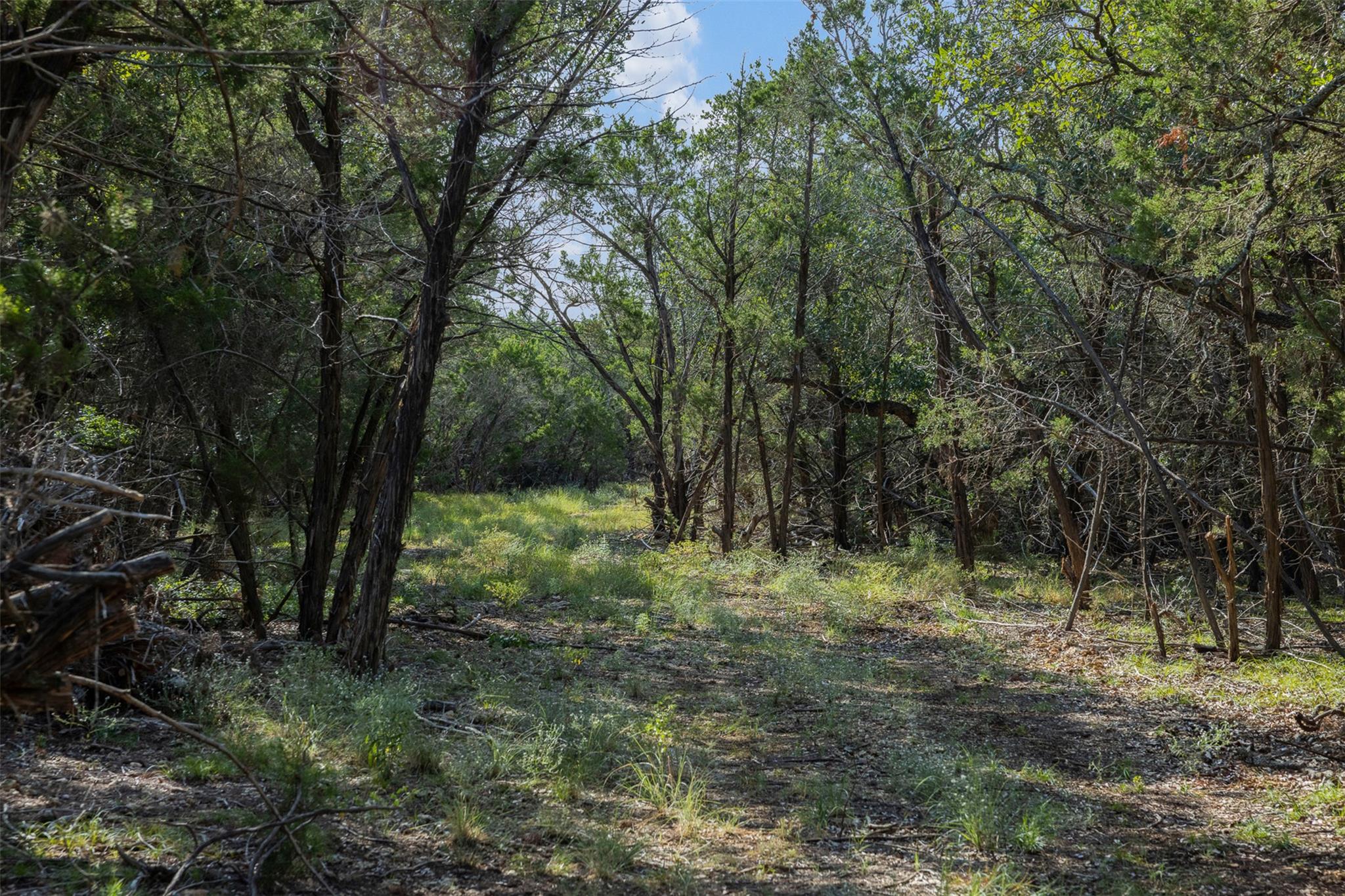 601 Mount Olive School RD