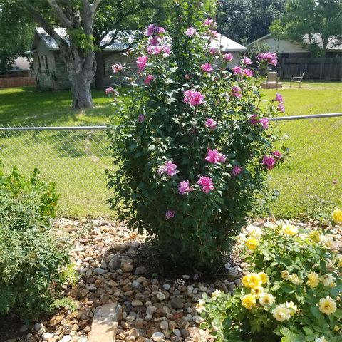 A home in Brenham