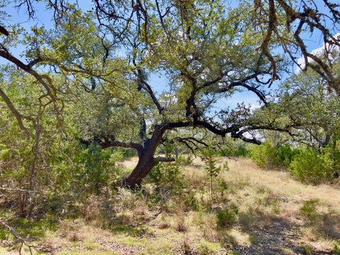Photo of 992 Hines Branch RD, Blanco, TX 78606 (MLS # 5574606)