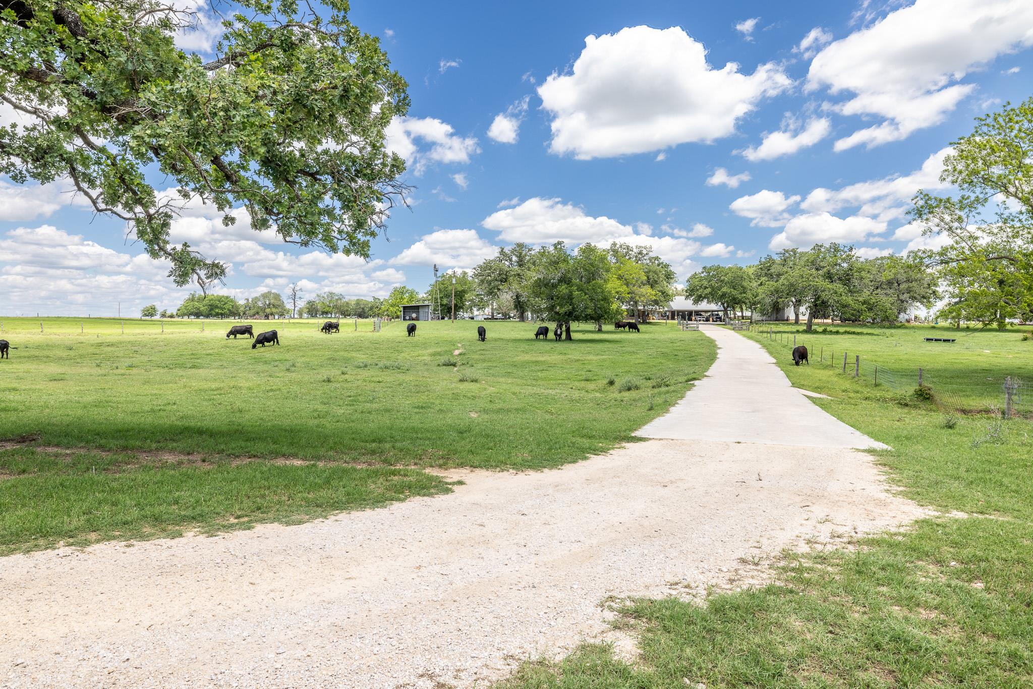 6589 State Highway 304