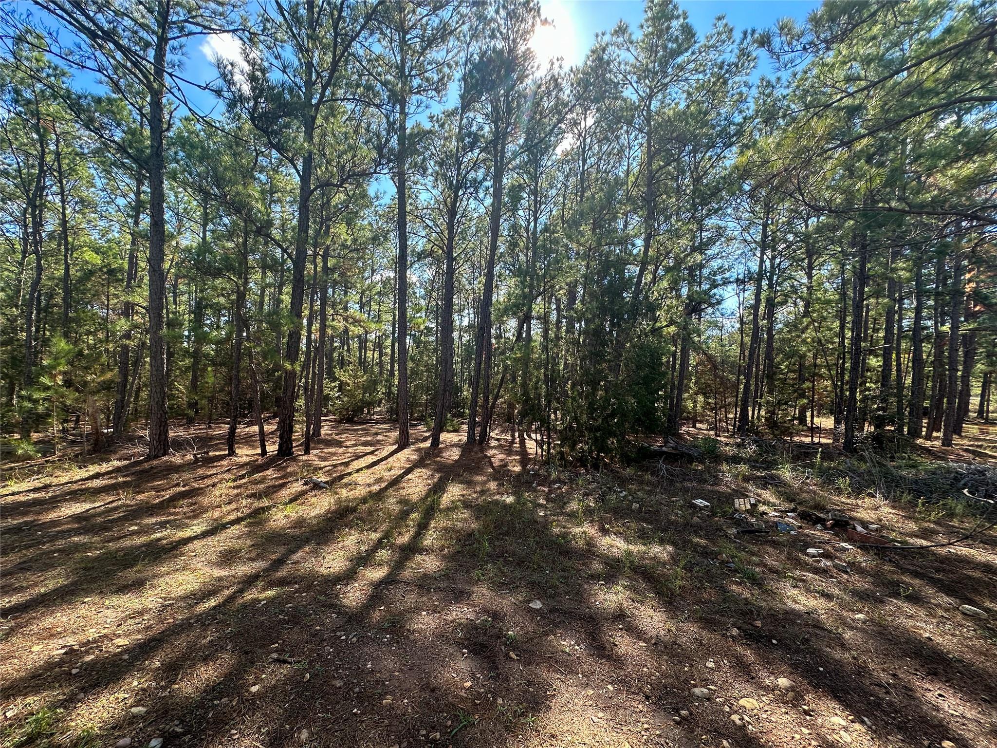 Lot 11 Hickory Ridge DR