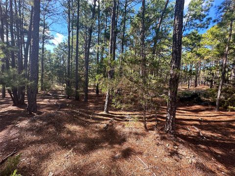 Photo of Lot 11 Hickory Ridge DR, Bastrop, TX 78602 (MLS # 5247953)