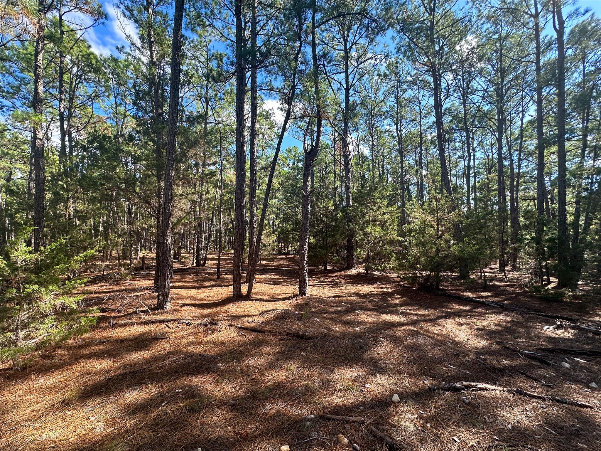 Lot 11 Hickory Ridge DR