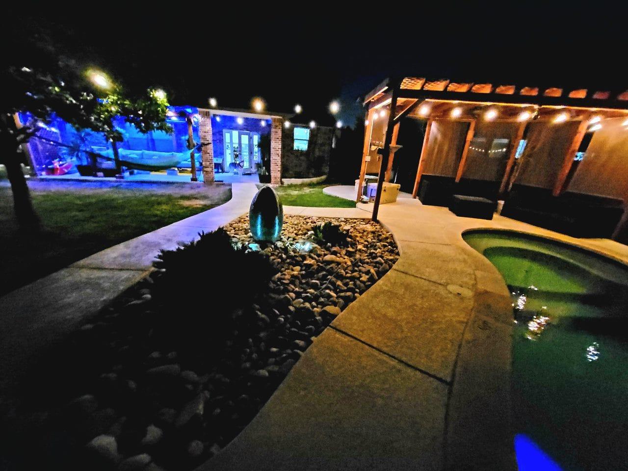 913 Water Hyacinth LOOP