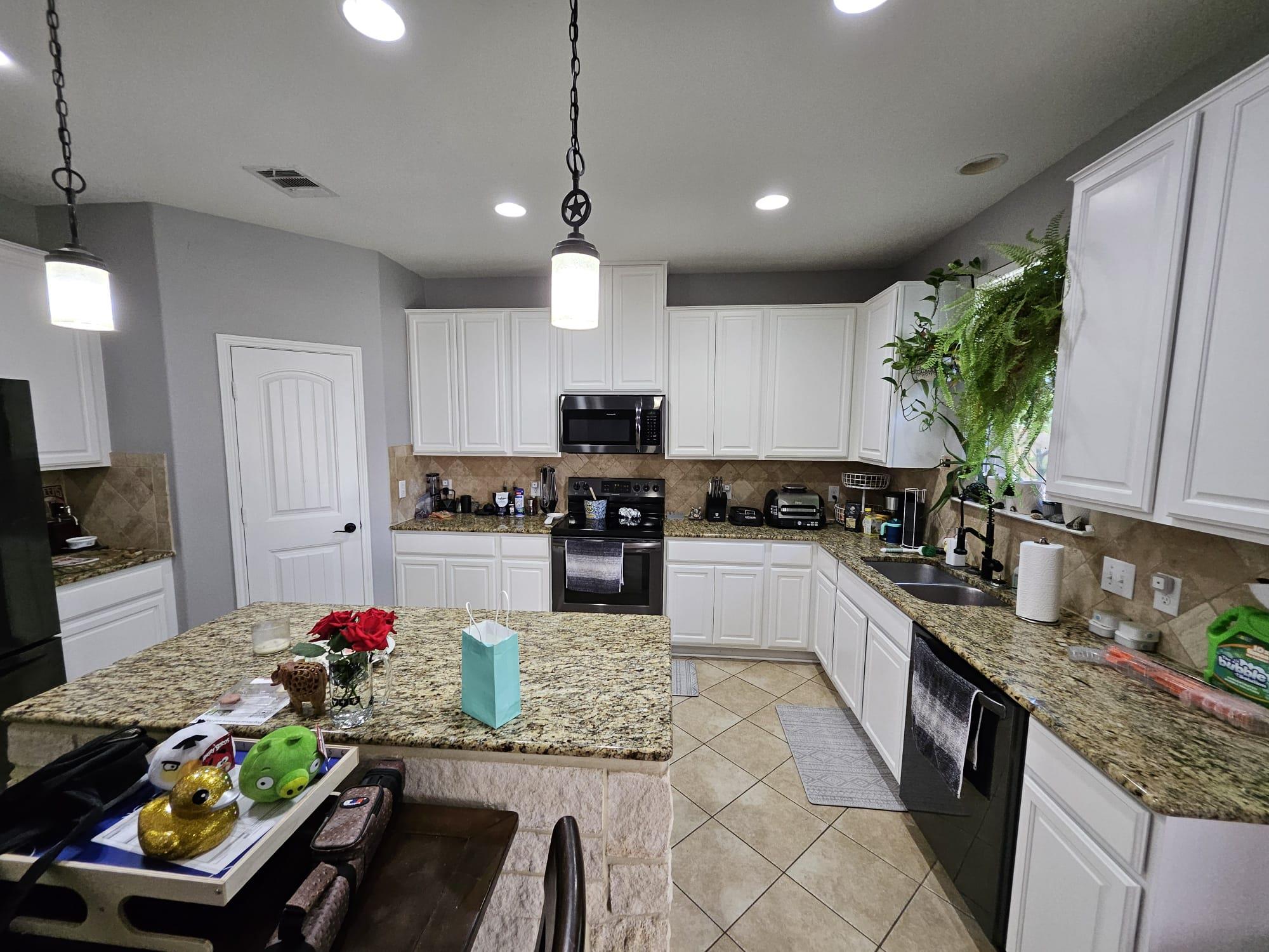 913 Water Hyacinth LOOP