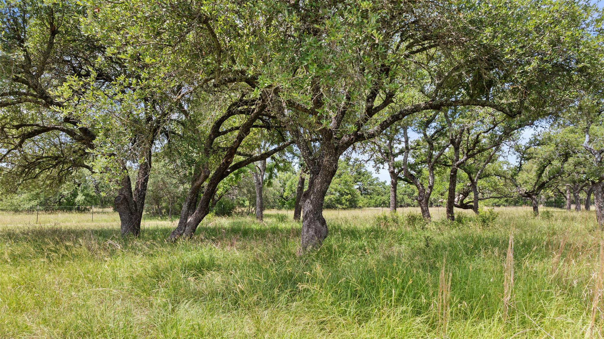 997 Sandy Oaks Ranch Rd