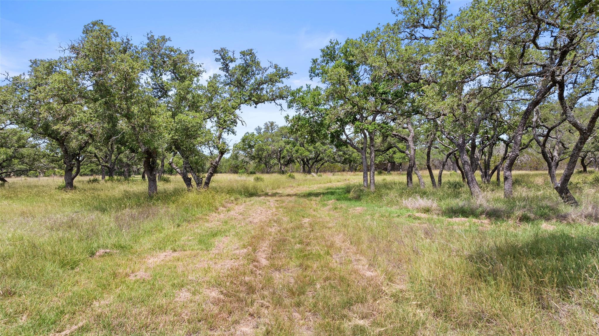 997 Sandy Oaks Ranch Rd